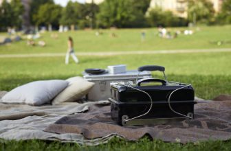 weber go anywhere review